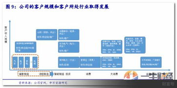 攜手科技巨頭，揭秘這家IT咨詢公司的獨特魅力